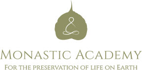 Monastic Academy logo